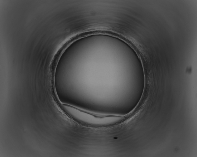 X0000091181118200708301211