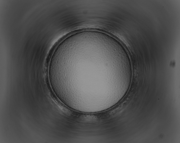 X0000091181119200708301211