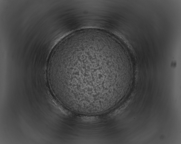 X0000091181121200708301211