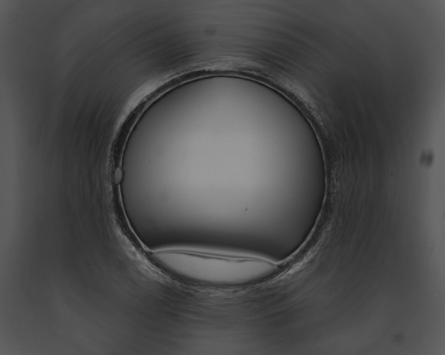 X0000091181122200708301211