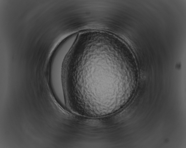 X0000091181123200708301211