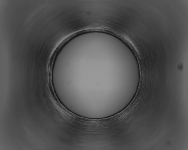 X0000091181124200708301211