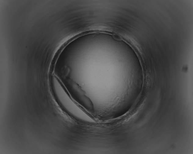 X0000091181125200708301211