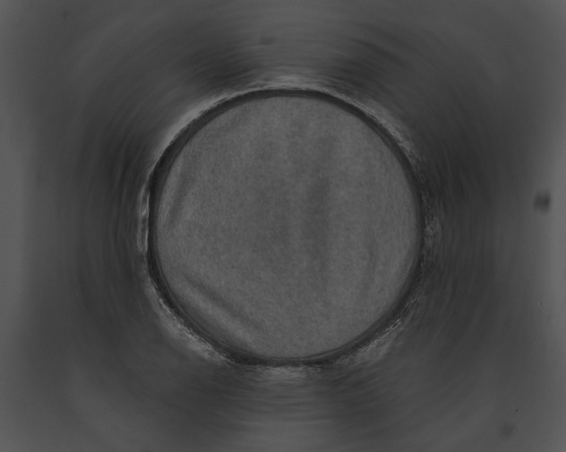 X0000091181126200708301211