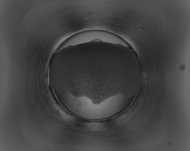 X0000091181127200708301211