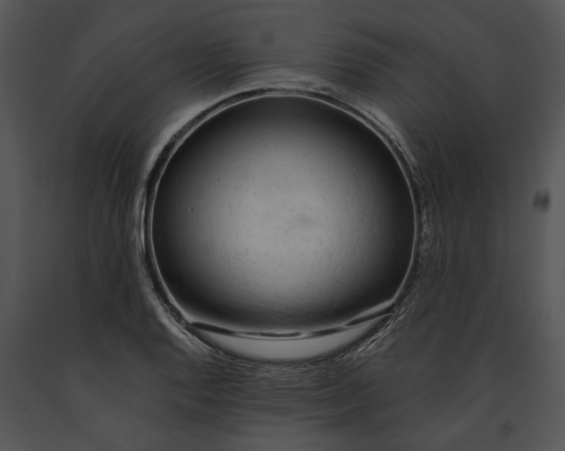 X0000091181128200708301211