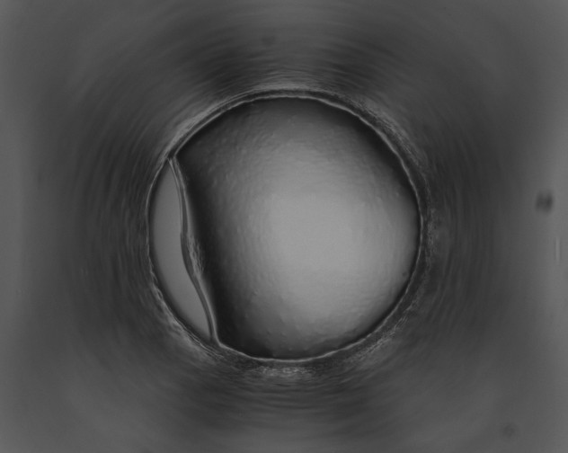 X0000091181129200708301211