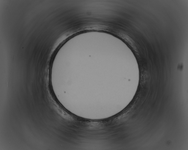 X0000091181130200708301211