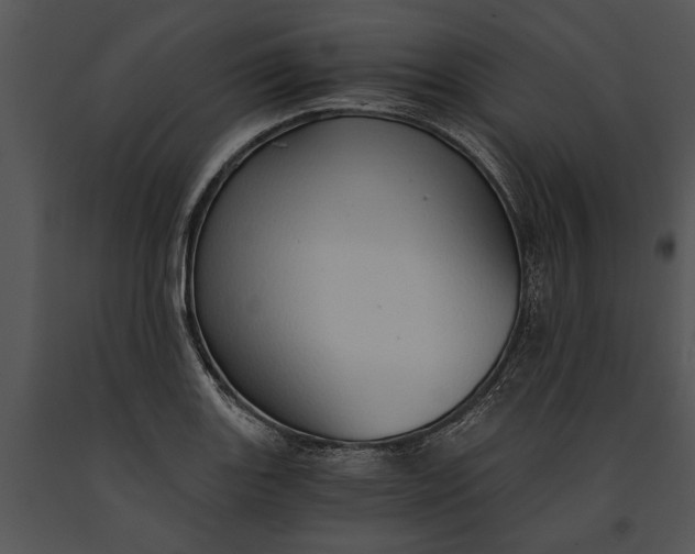 X0000091181131200708301211