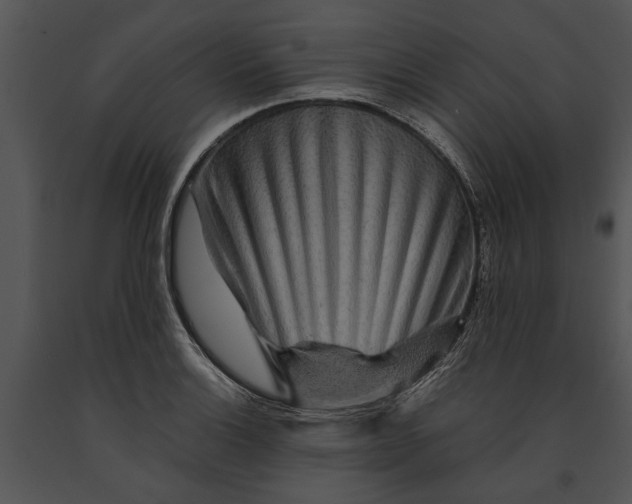 X0000091181132200708301211