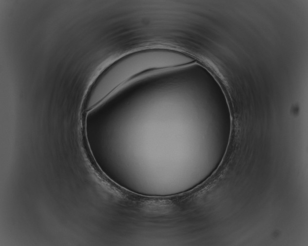 X0000091181133200708301211