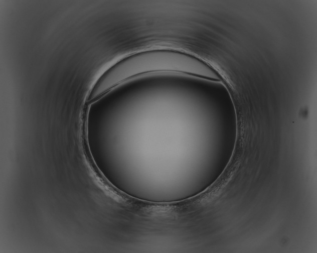 X0000091181134200708301211