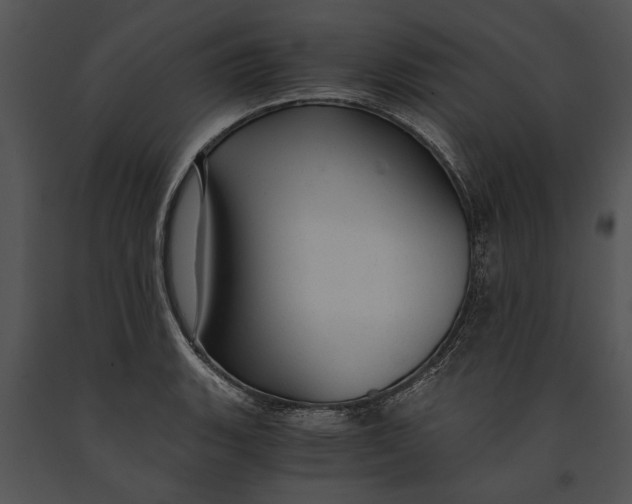 X0000091181135200708301211