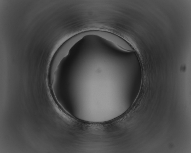 X0000091181136200708301211