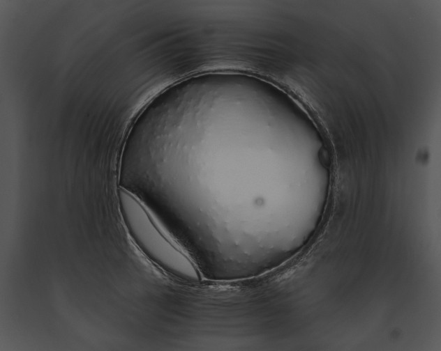 X0000091181137200708301211