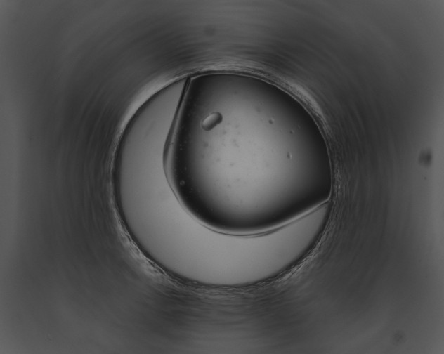 X0000091181138200708301211