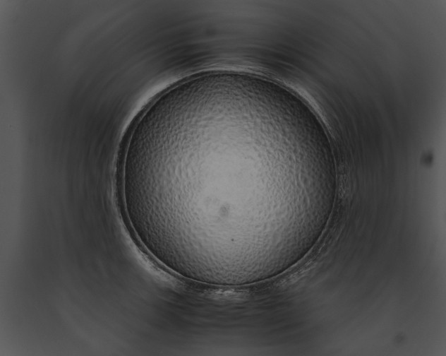 X0000091181139200708301211