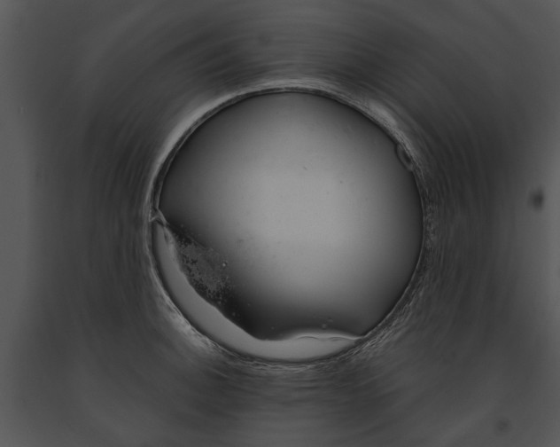 X0000091181140200708301211