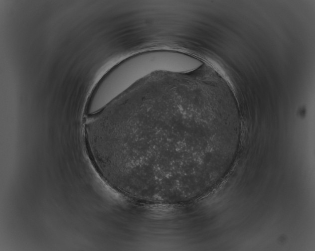 X0000091181141200708301211