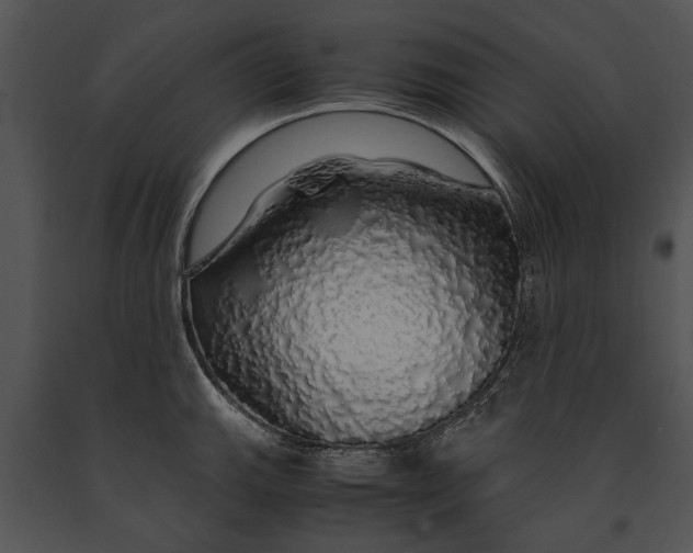 X0000091181143200708301211