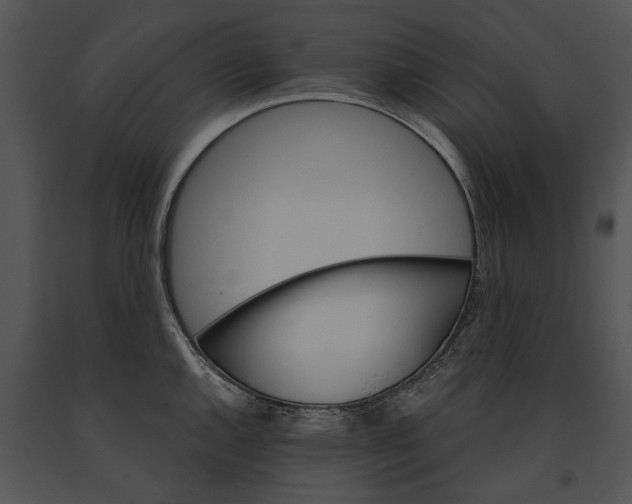 X0000091181144200708301211