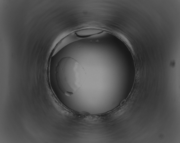 X0000091181146200708301211