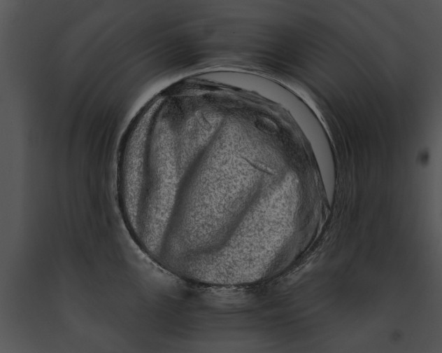 X0000091181147200708301211