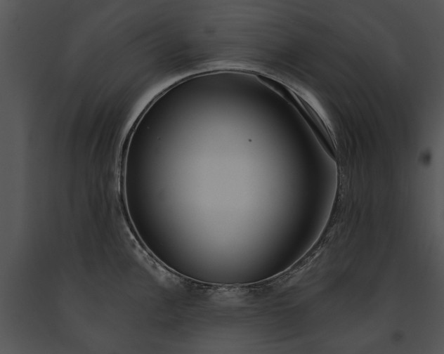 X0000091181148200708301211