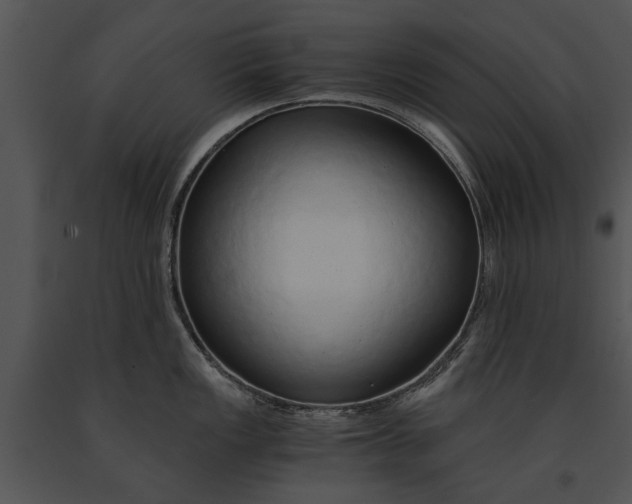 X0000091181149200708301211