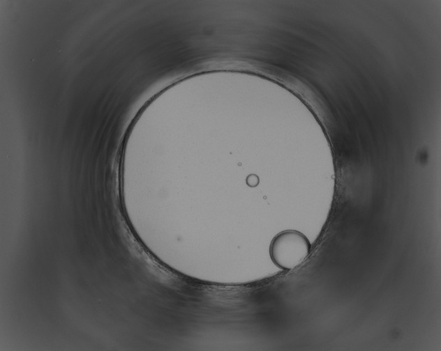 X0000091181150200708301211