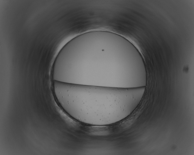 X0000091181151200708301211