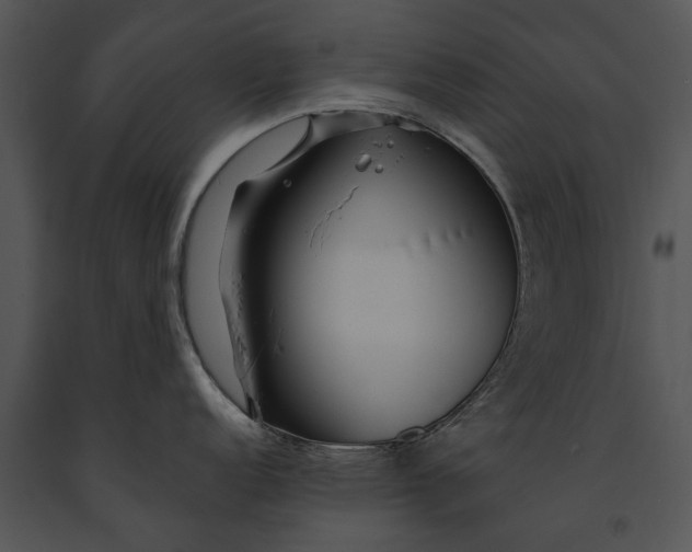 X0000091181152200708301211