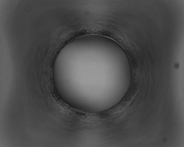 X0000091181153200708301211