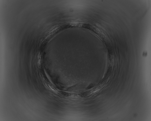 X0000091181154200708301211