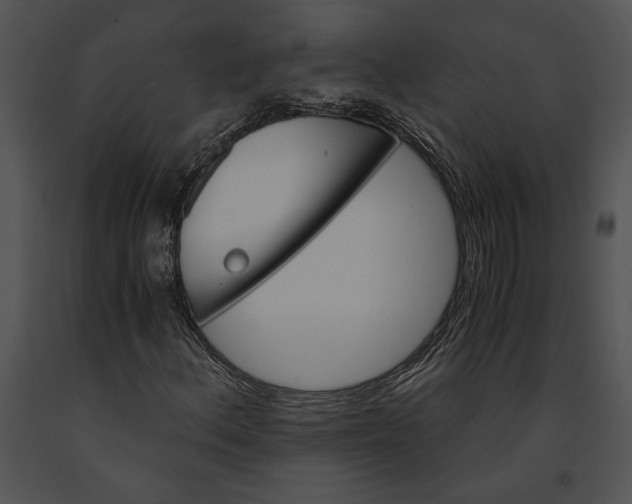 X0000091181156200708301211