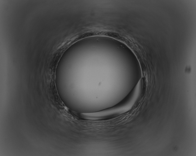 X0000091181157200708301211