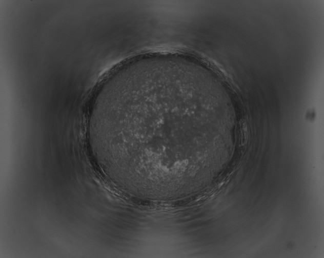 X0000091181158200708301211