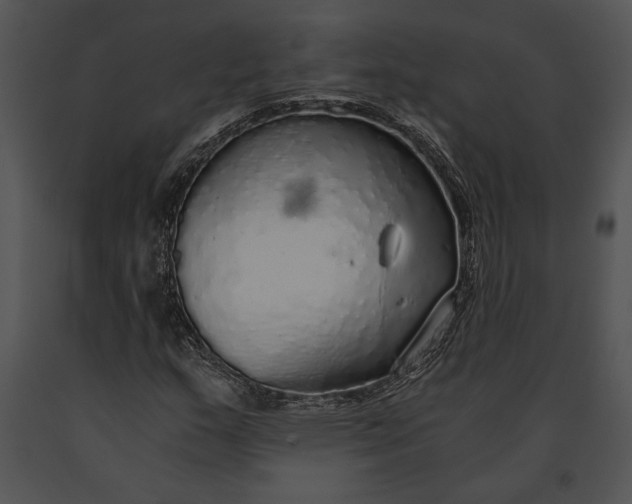 X0000091181159200708301211