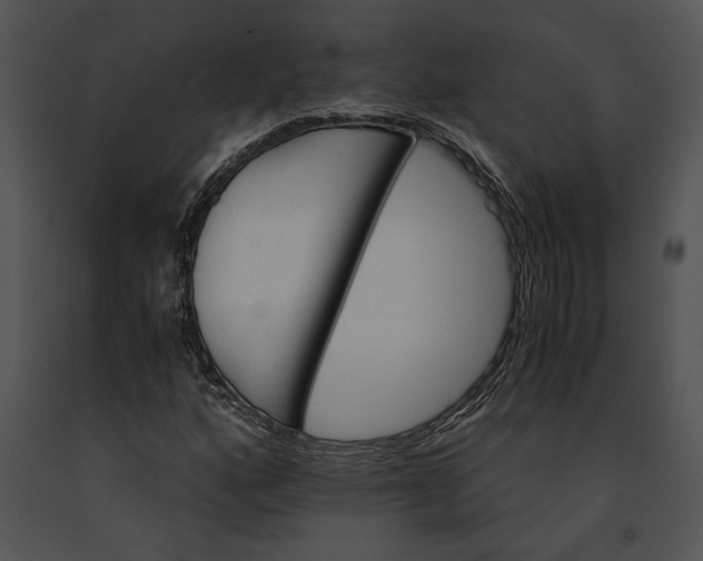 X0000091181160200708301211