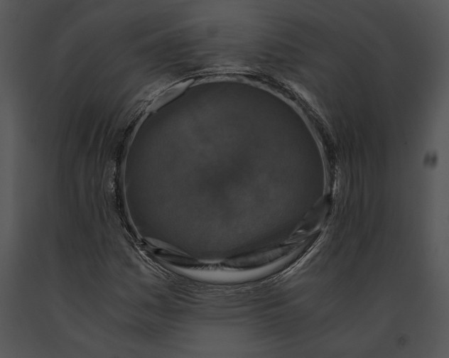 X0000091181161200708301211