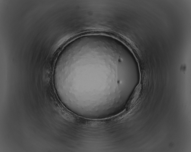 X0000091181163200708301211