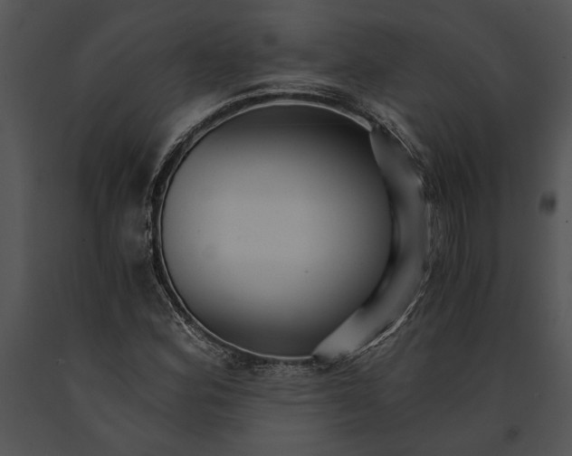 X0000091181164200708301211