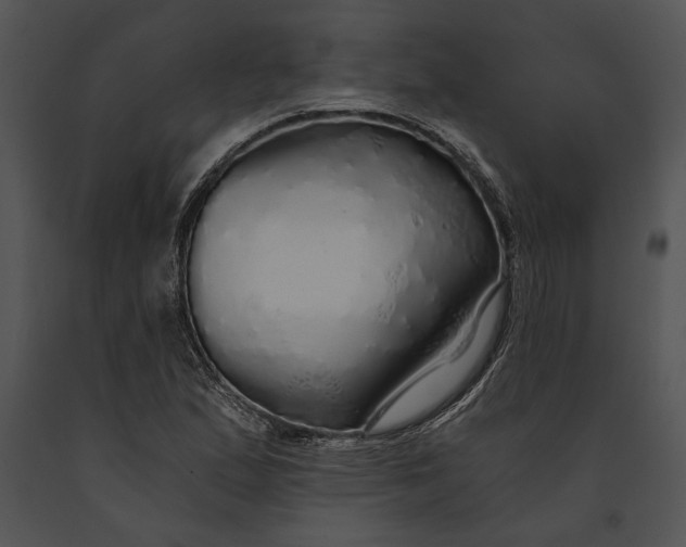 X0000091181167200708301211