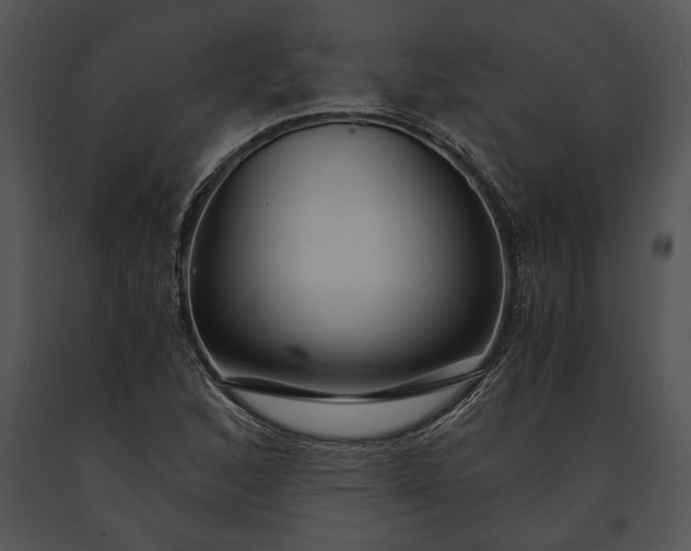 X0000091181168200708301210