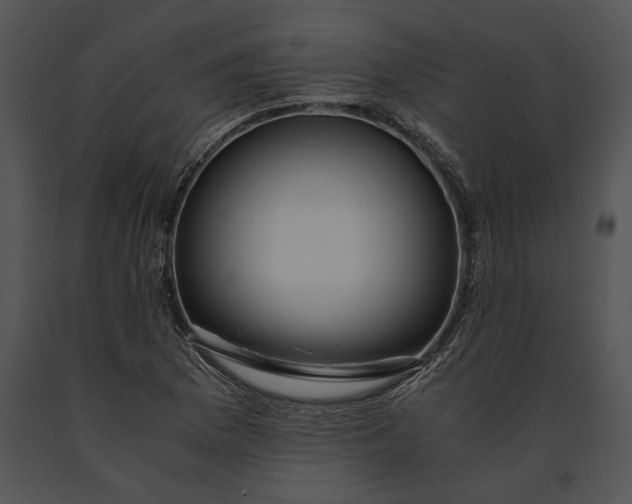 X0000091181169200708301210