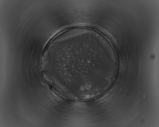 X0000091181170200708301210