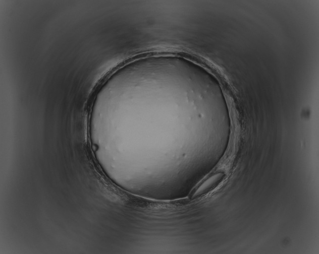 X0000091181171200708301210