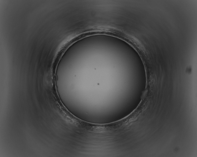 X0000091181172200708301210