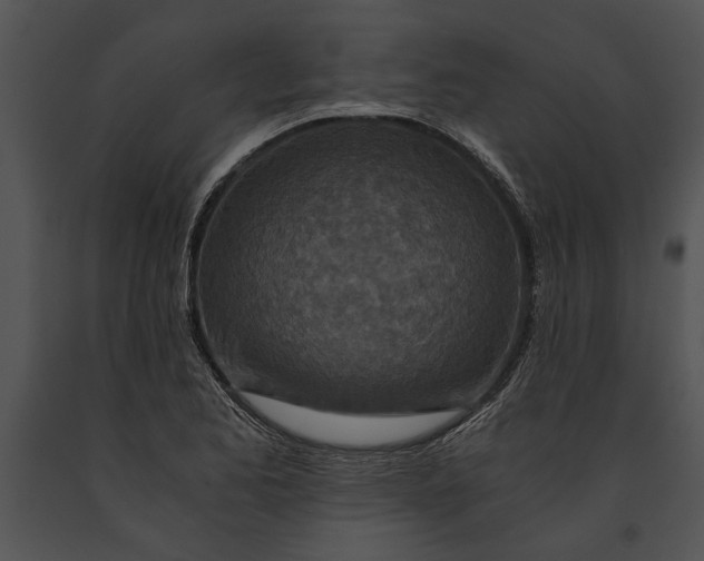 X0000091181173200708301210