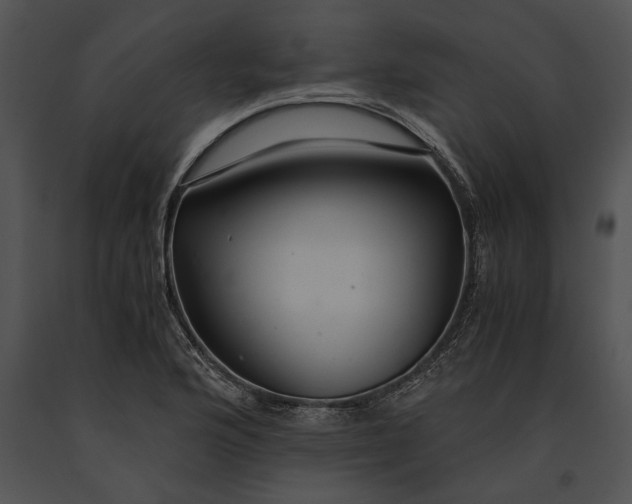 X0000091181176200708301210